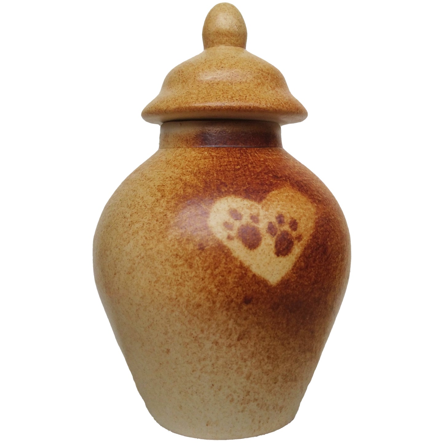 Pieni Tassuttelija, Ruskea